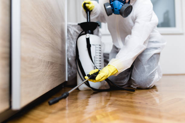 Best Pest Control Cost  in Clearlake, CA