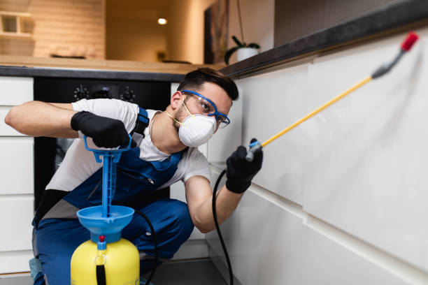 Best Pest Inspection Near Me  in Clearlake, CA