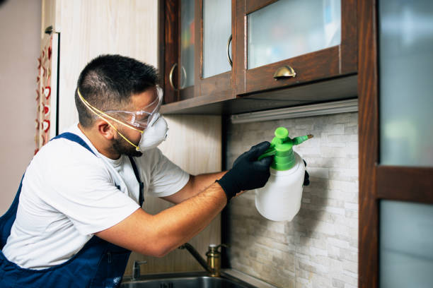 Pest Control Cost in Clearlake, CA