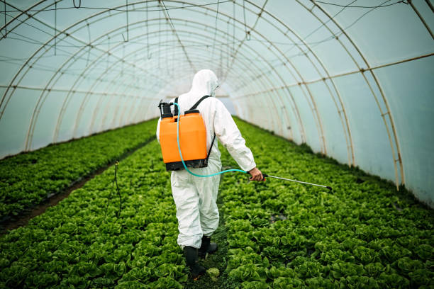 Clearlake, CA Pest Control Company