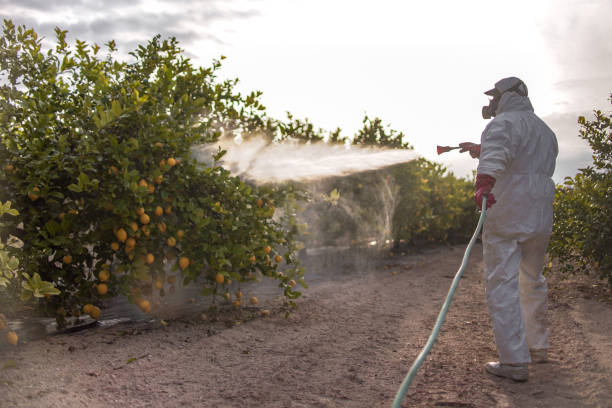 Best Bird Control  in Clearlake, CA