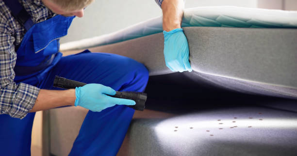 Best Local Pest Control Services  in Clearlake, CA