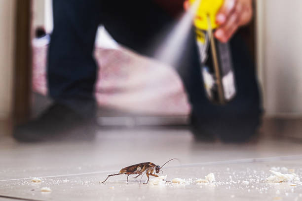 Wildlife Control Services in Clearlake, CA