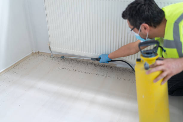 Best Wasp Removal Services  in Clearlake, CA