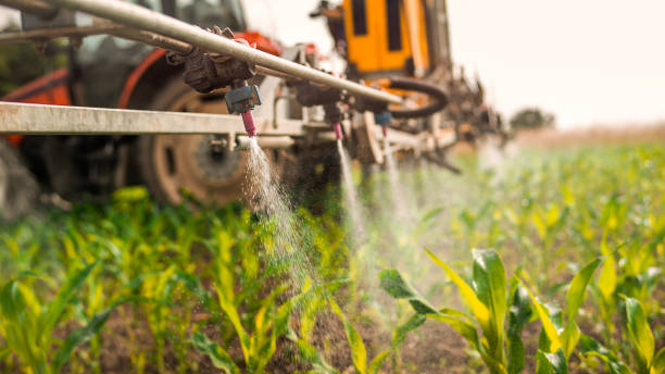 Best Ant Control Services  in Clearlake, CA